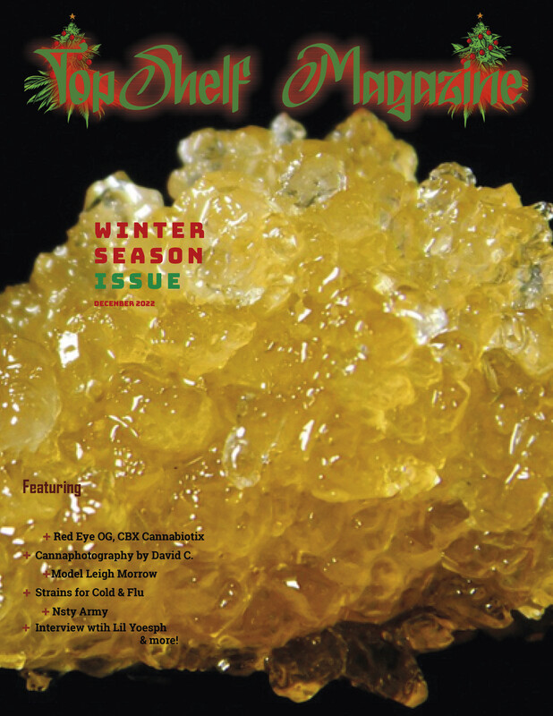 TopShelf Magazine Winter Season Issue #7 December 2022