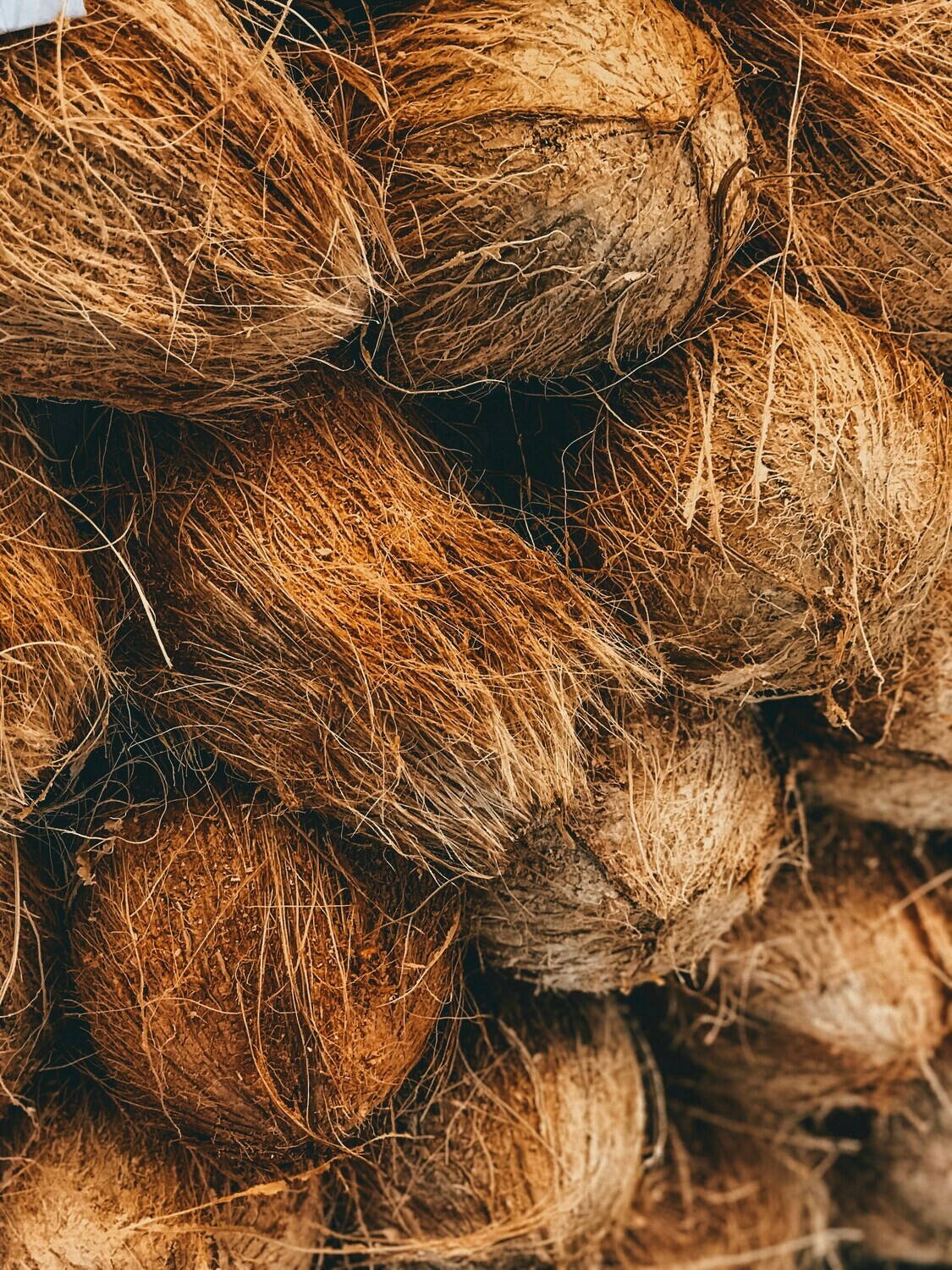 1 Bag Coconuts