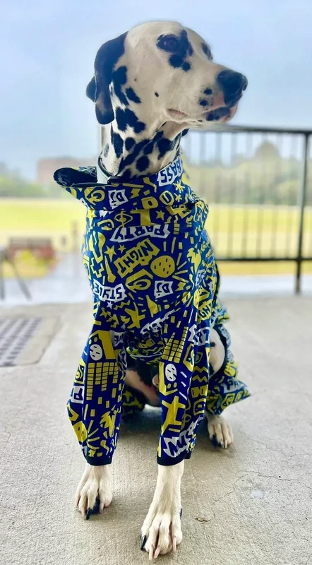 BLUE DISCO LUXURY DOG RAIN COAT