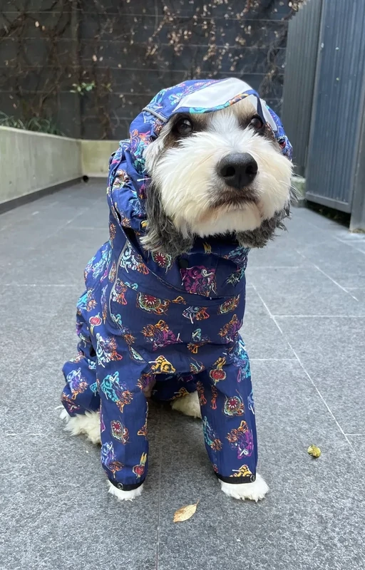 OCEAN BLUE LUXURY DOG RAIN COVER