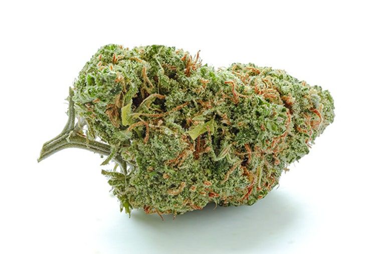 Green Crack - Sativa Strain