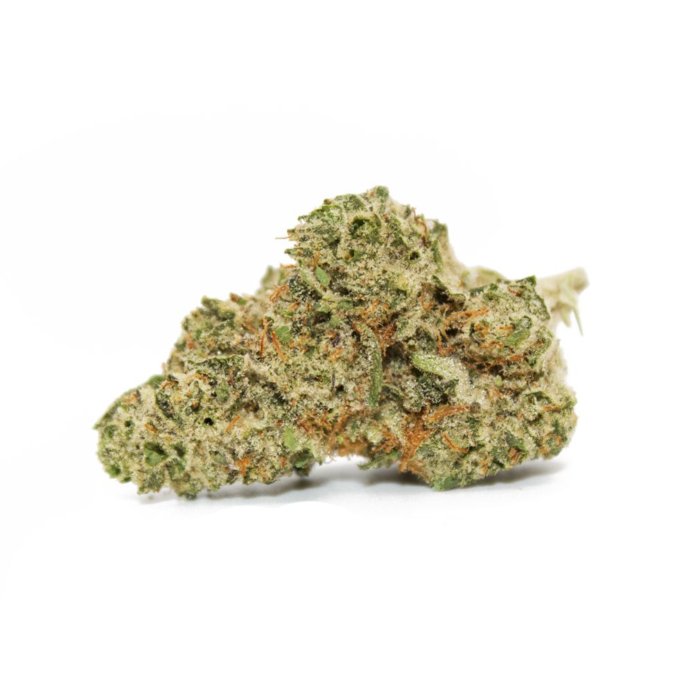 Cereal Milk - Hybrid Strain
