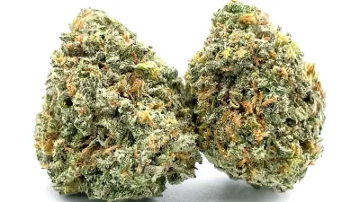 Cali OG - Hybrid Strain