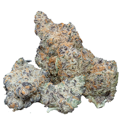 Platinum King - Hybrid Strain