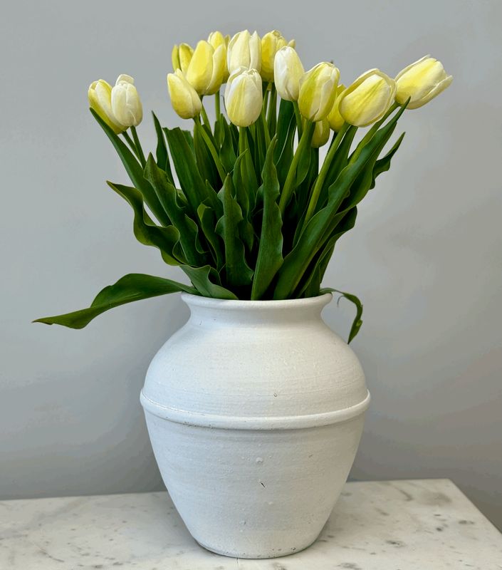 Lemonade Tulips