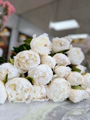 Moments of Celebration