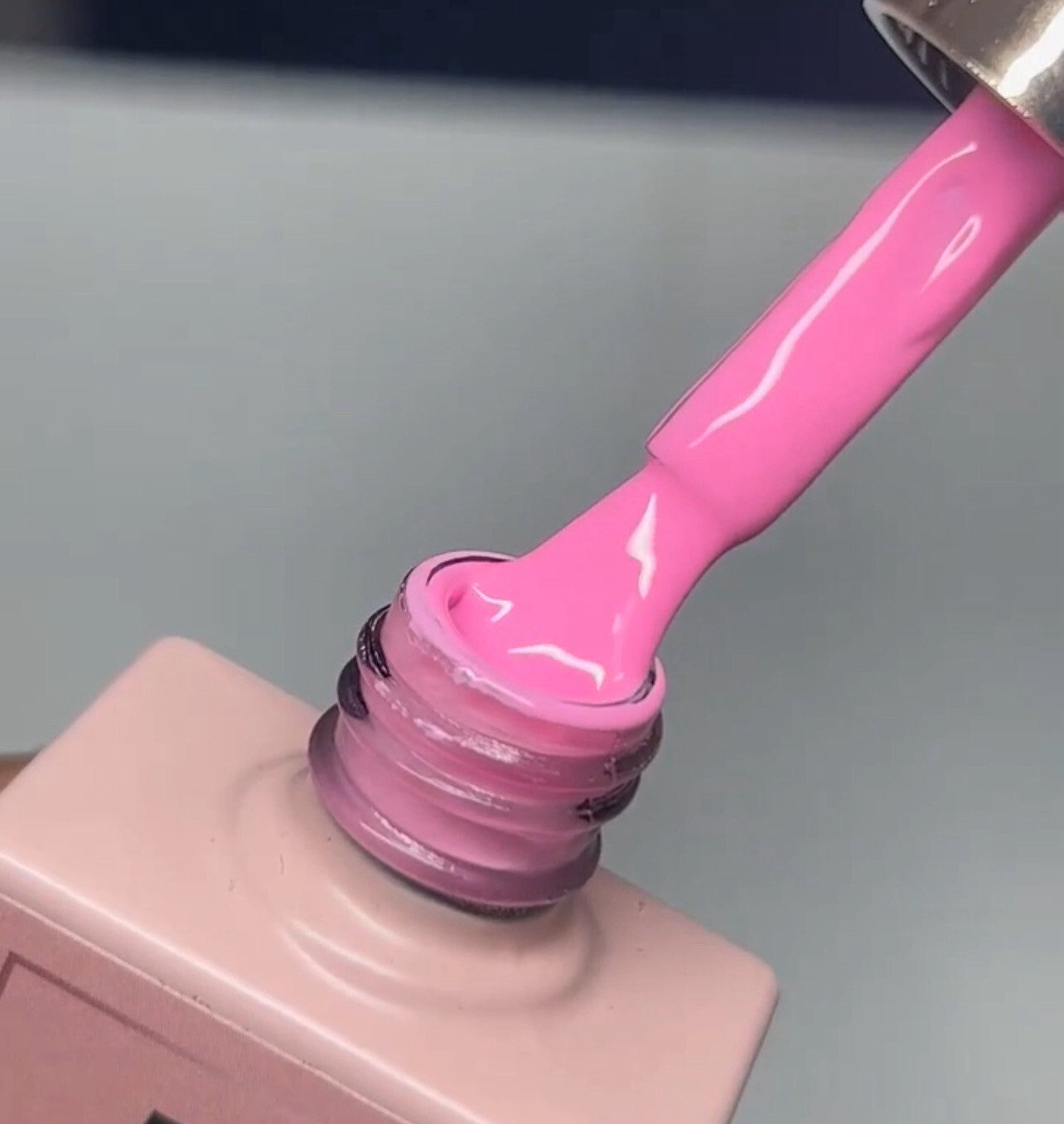 Bubble Gum
