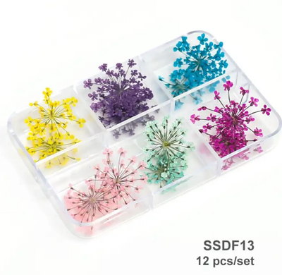 Dried Flowers