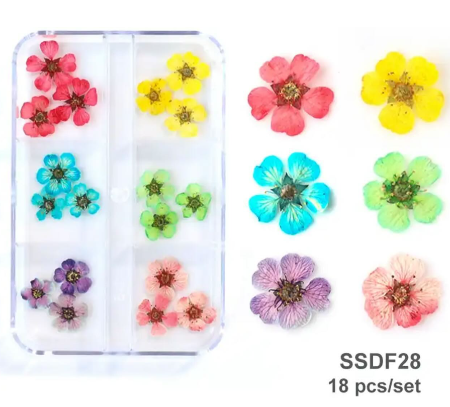 Dried Flowers