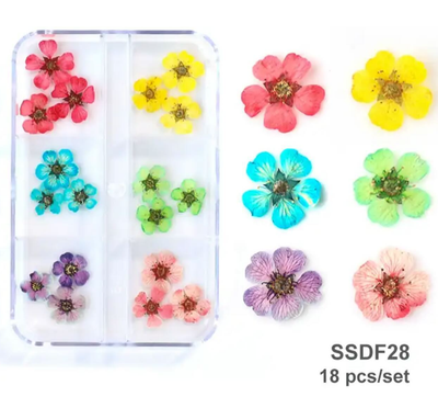 Dried Flowers
