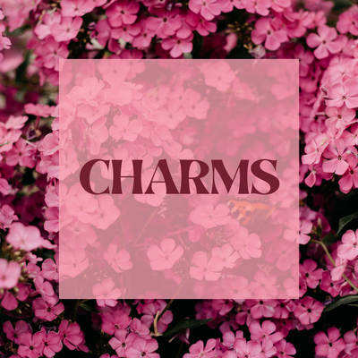 Nail Charms