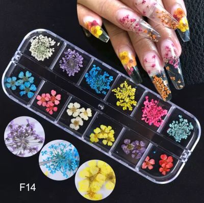 Dried Flowers