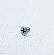 Coast Access Door Hinge Screw