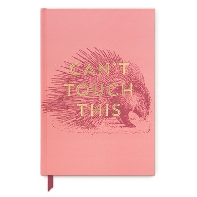 Vintage sass journal - Cant touch this