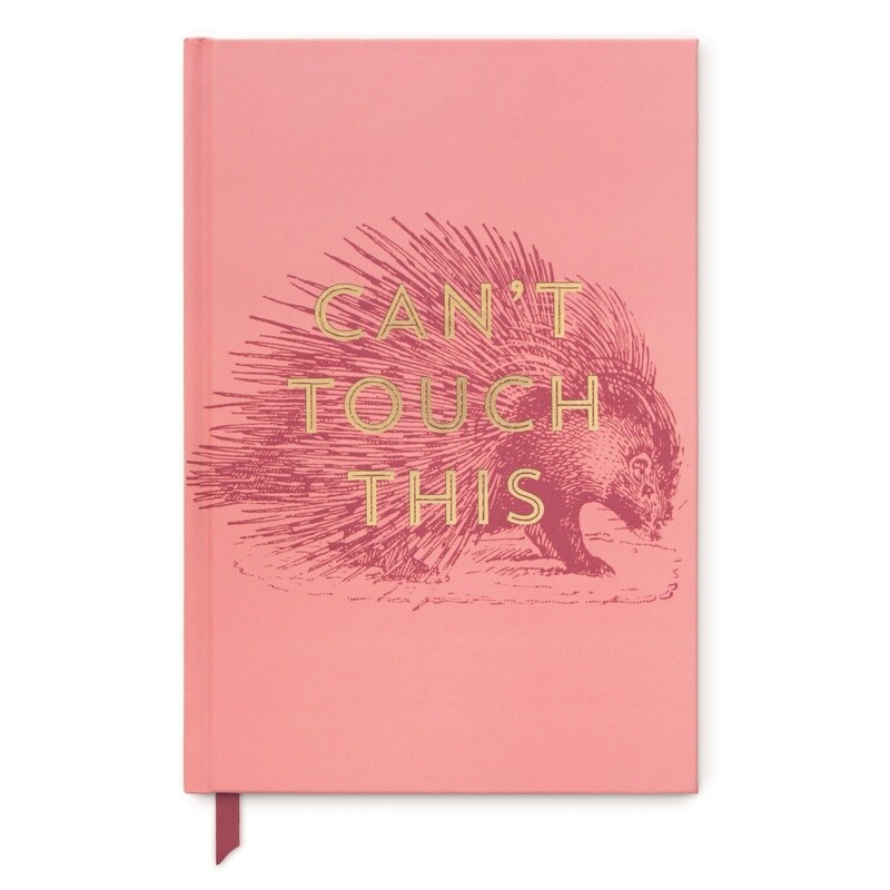 Vintage sass journal - Cant touch this