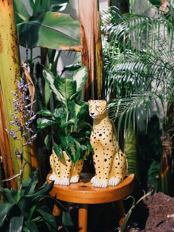 cheetah bloempot