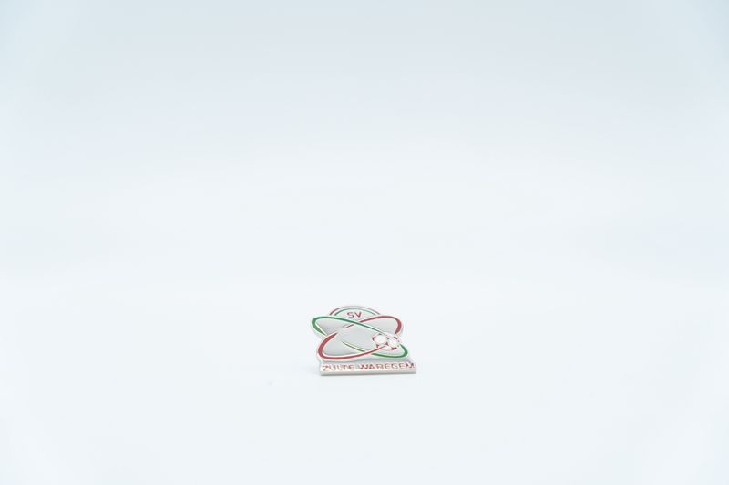 Pin logo