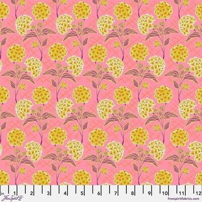 Our Fair Home - Trellis Peach - 25cm