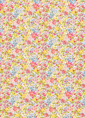 Liberty Tana Lawn - Emma &amp; Georgina Summer - 25cm