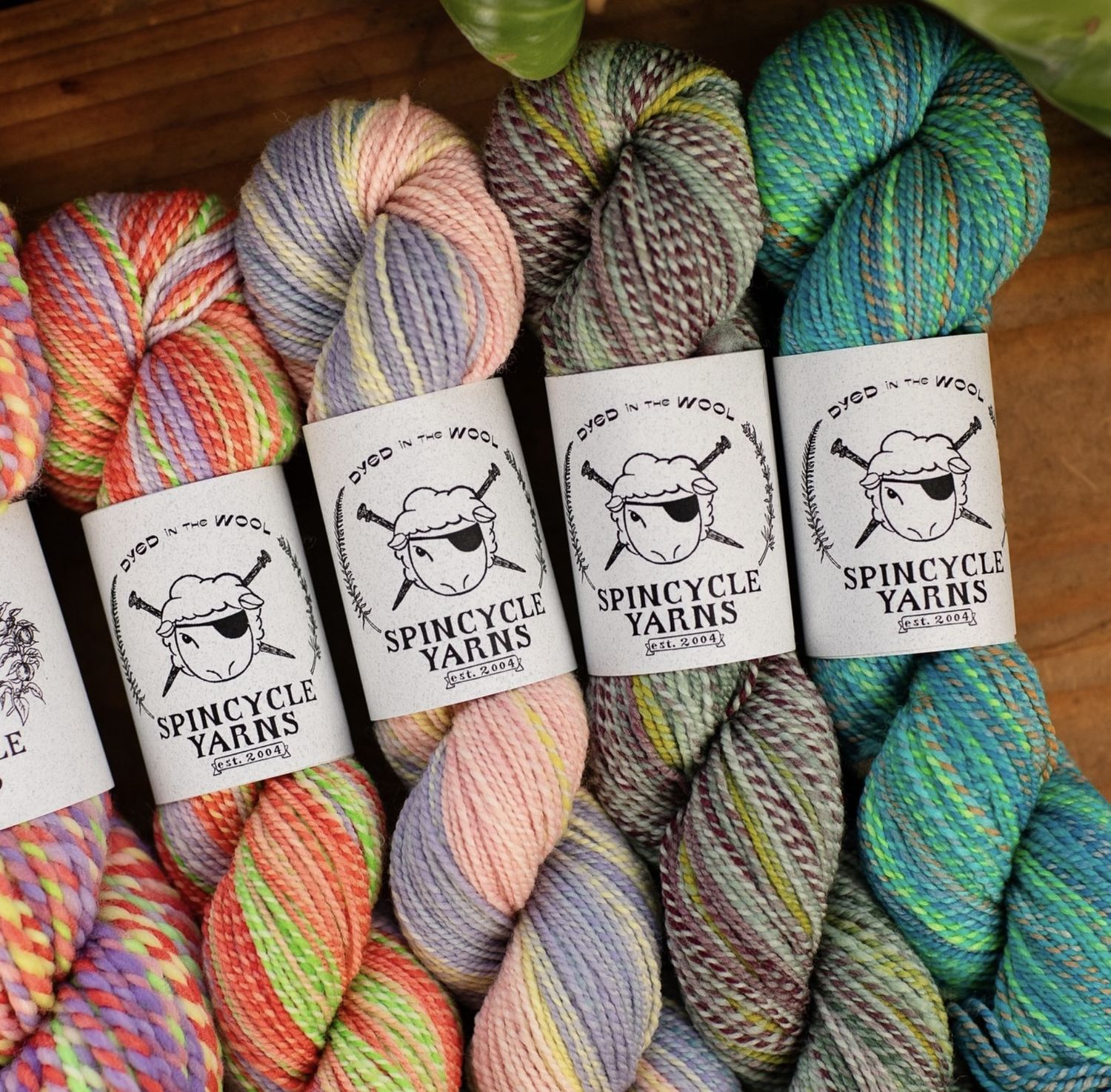 Spincycle Dyed In The Wool