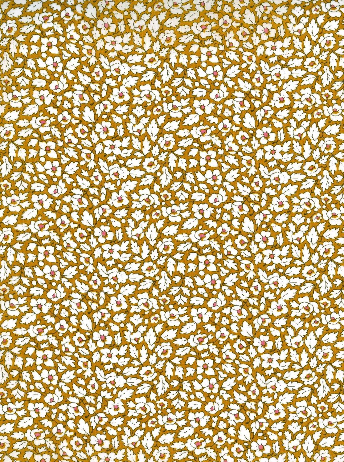 Liberty Tana Lawn - Feather Meadow A - 25cm
