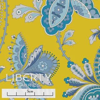Liberty Tana Lawn - Summer Gallery - Epiphony Trail A - 25cm