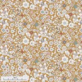 Liberty Tana Lawn - CC24 June’s Meadow L-CC — 25cm