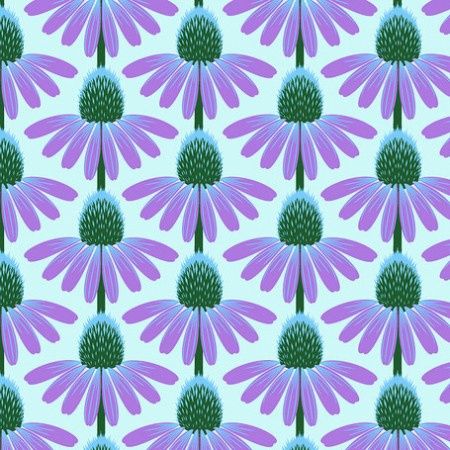 Love Always - Echinacea Glow / Grape - 25cm