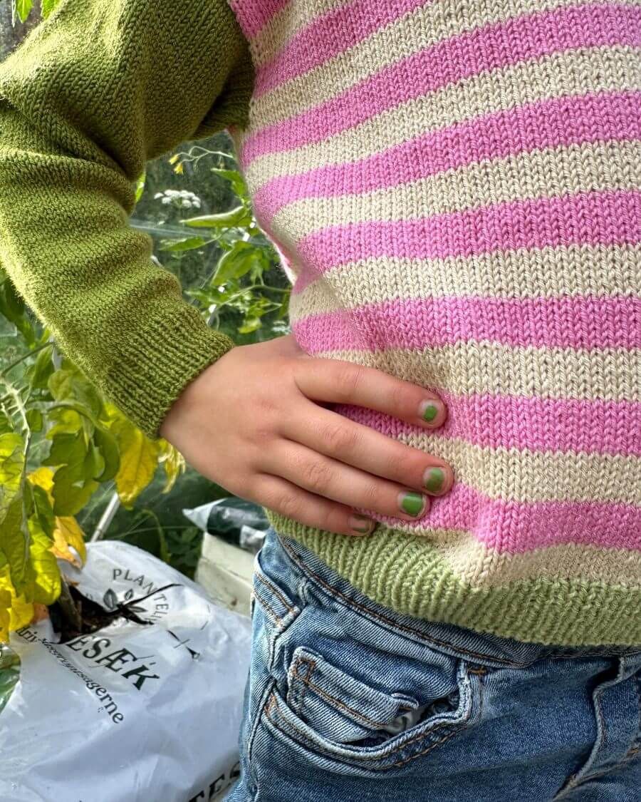 Holger Shirt / Petite Knits Pattern (Junior)