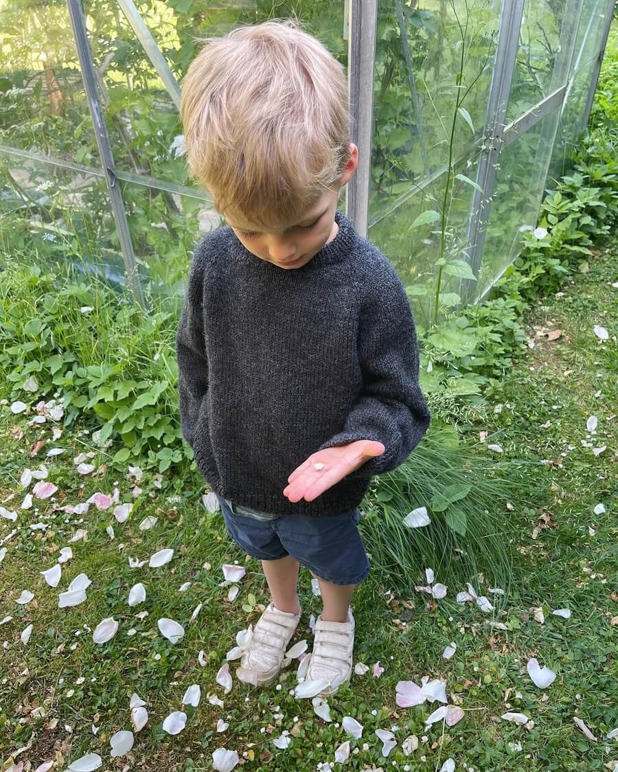 Hanstholm Sweater Junior / Petite Knits Pattern