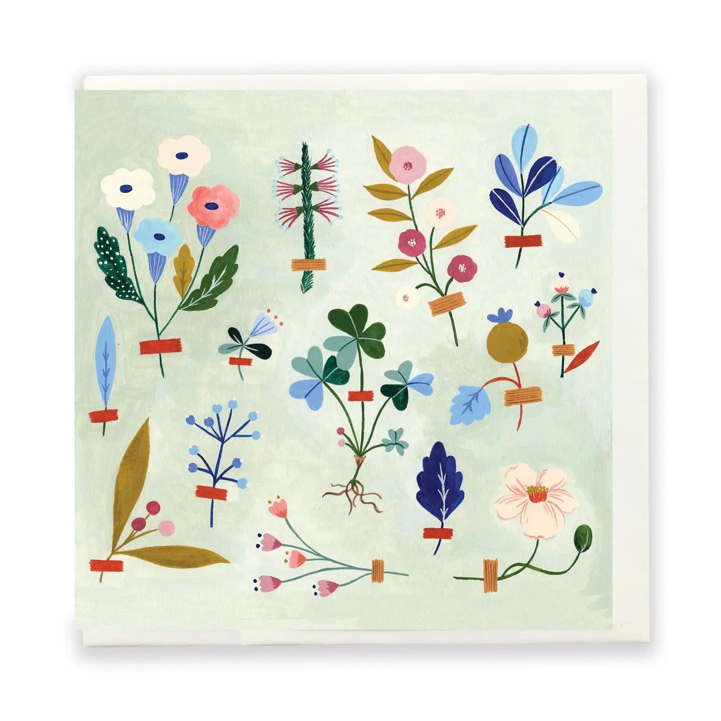 Tiny Plant Collector Card