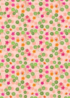 Lewis &amp; Irene Kitchen Garden / Nasturtiums - Light Pink / 25cm