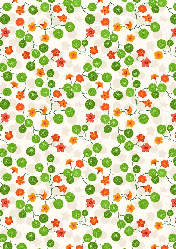 Lewis &amp; Irene Kitchen Garden / Nasturtiums - Cream / 25cm