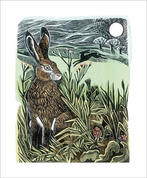 Hidden Hares / Angela Harding