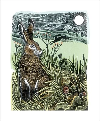 Hidden Hares / Angela Harding