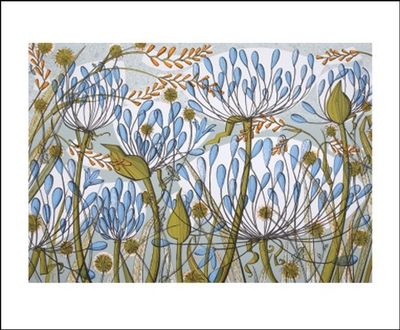 Agapanthus II / Angie Lewin