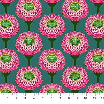 Iconic / Strawflower / Lush / per 25cm