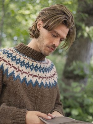 Polar Light - Mens / Sandnes Garn Pattern