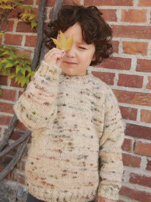 Dave Sweater - Junior / Sandnes Garn Pattern