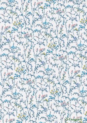 Liberty Tana Lawn - Erica B - 25cm