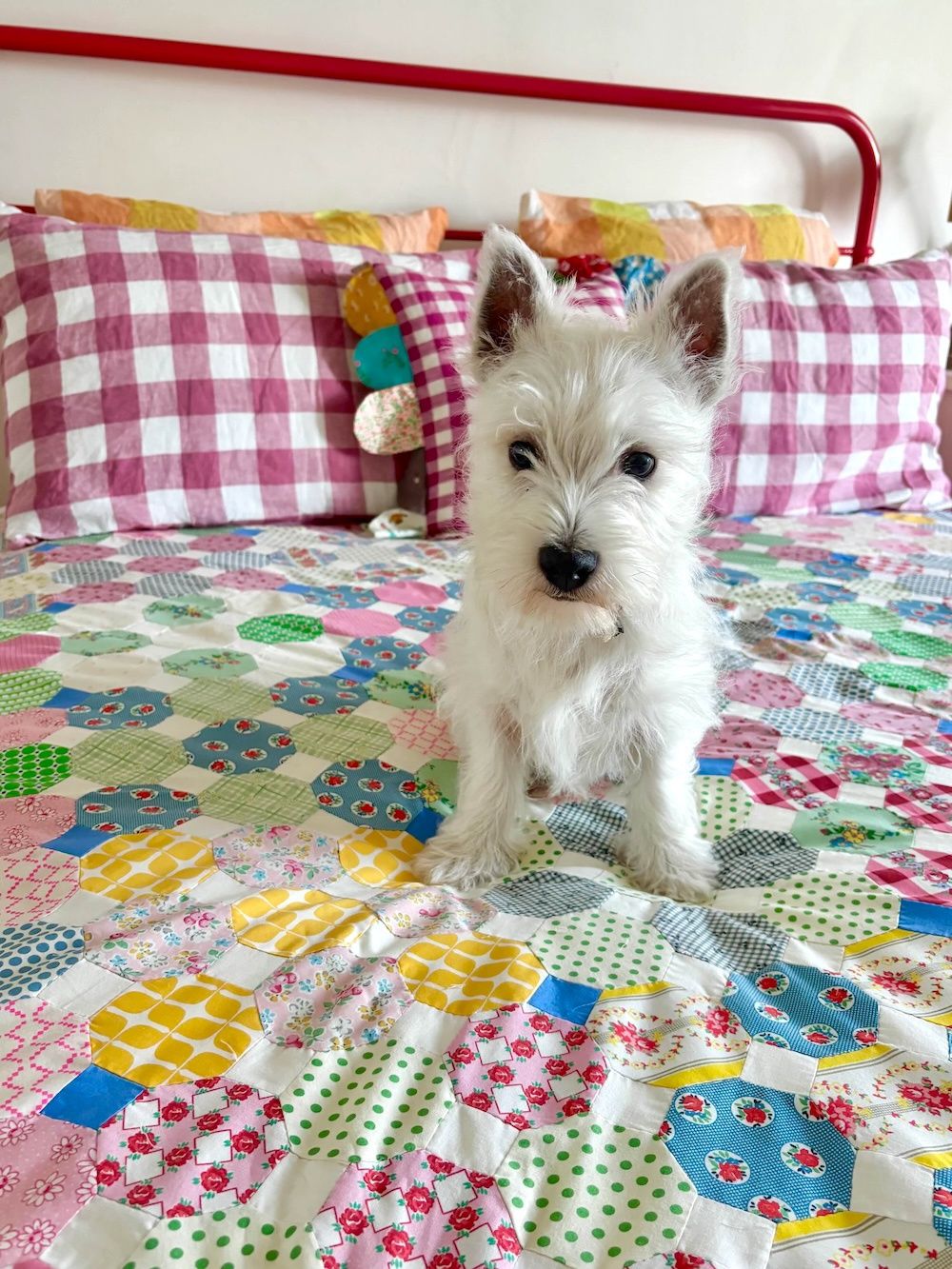 Sadie&#39;s Quilt Pattern / Sew.be