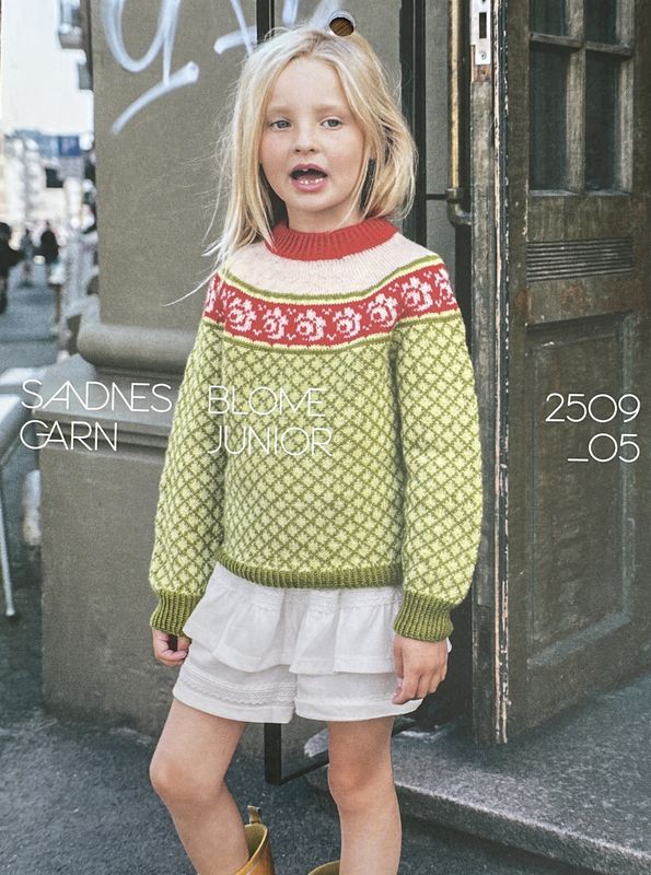 Blome Junior 2509_05 / Sandnes Garn Pattern