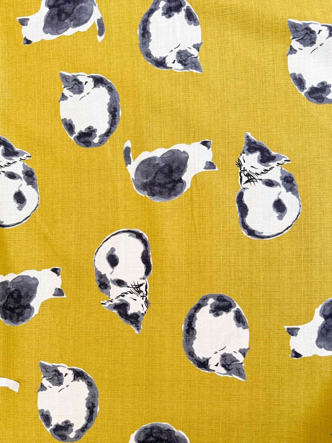 Japanese Dobby / Mustard Kitty Cats / 25cm