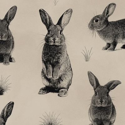 Hareloom Cotton Panel / 50cm x 112cm WOF