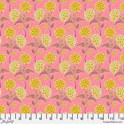 Our Fair Home - Trellis Peach - 25cm