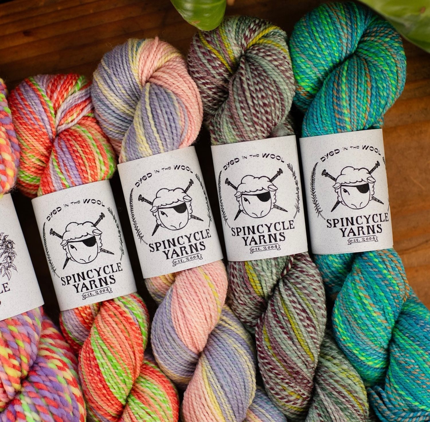 Spincycle Dyed In The Wool