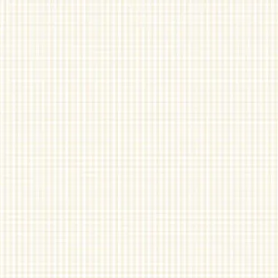 Bias Binding 25mm / Natural Cream