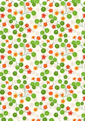 Lewis &amp; Irene Kitchen Garden / Nasturtiums - Cream / 25cm