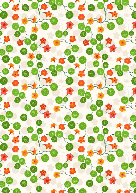 Lewis &amp; Irene Kitchen Garden / Nasturtiums - Cream / 25cm