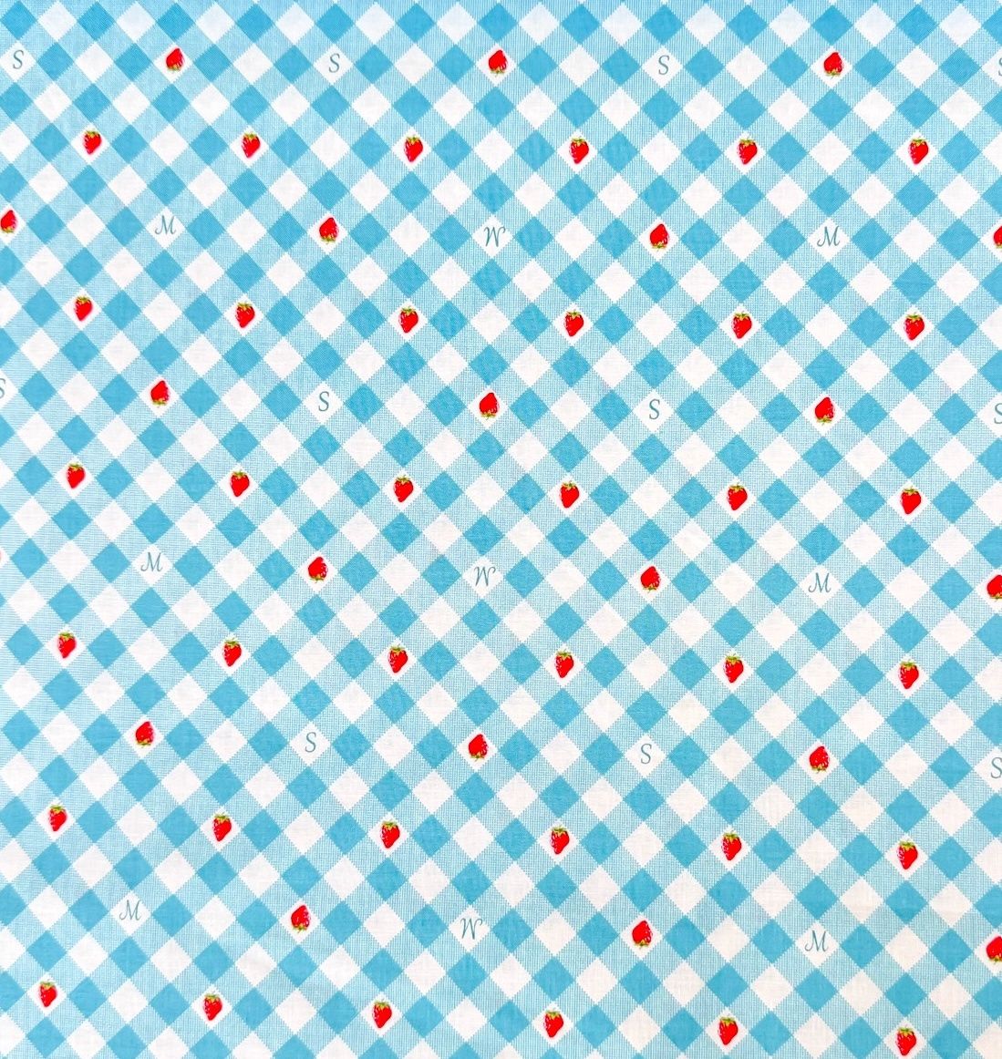 Margaret And Sophie / Strawberry Gingham - Blue / 25cm